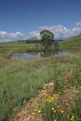 126_2632_Drakensberge