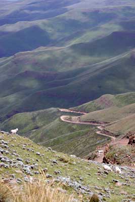 126_2694_SaniPass_mod
