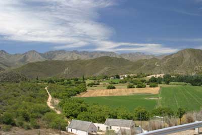 131_3172_Oudtshoorn