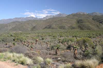 132_3240_Kleine_Karoo