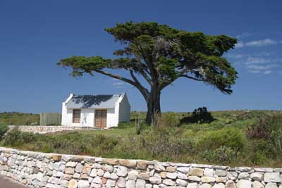 132_3267_CapePoint