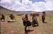 126_266X_Lesotho_2006_F3_130004