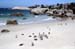 133_3354_BoulderBeach_Pinguine_mod